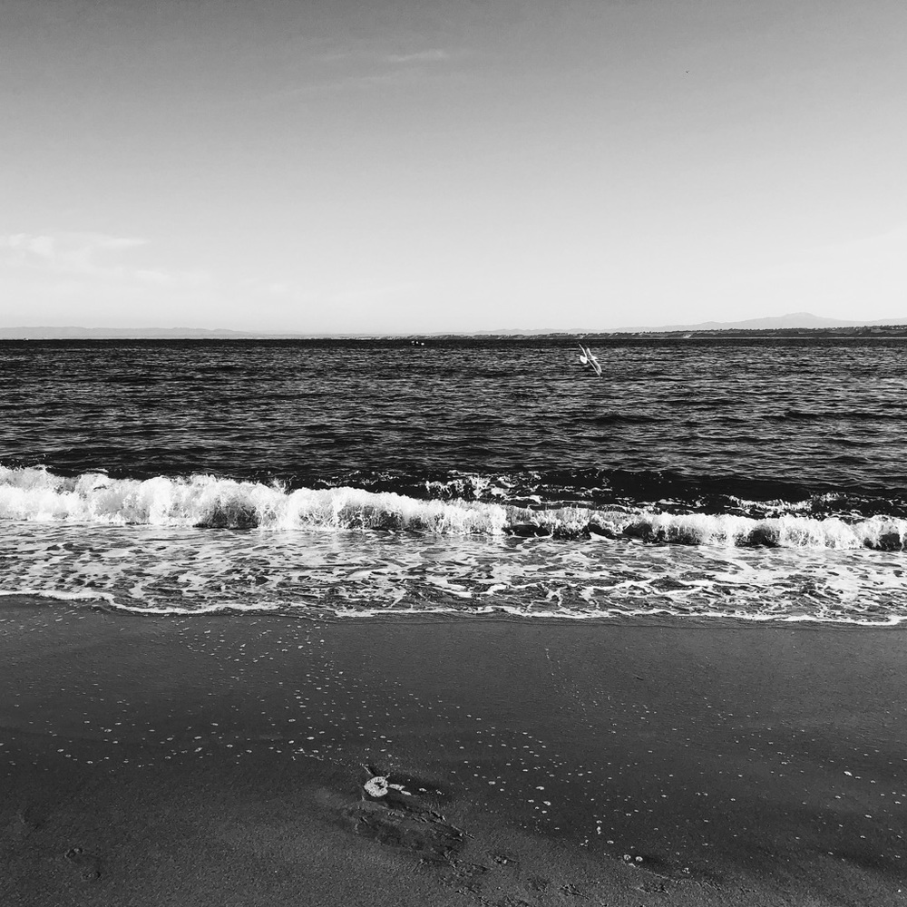 Meet your Posher, Tabitha